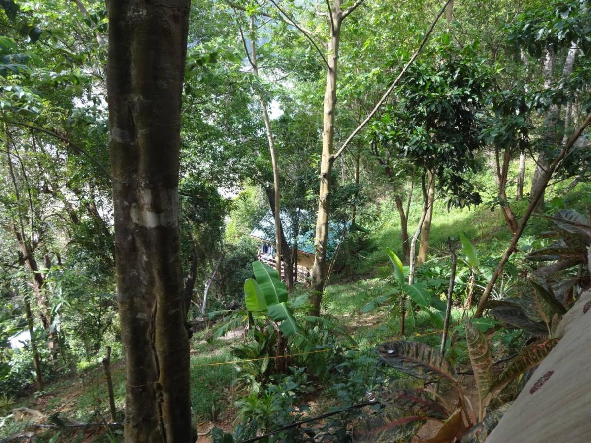 Camp Talusi Hills Overlooking El Nido Exteriér fotografie